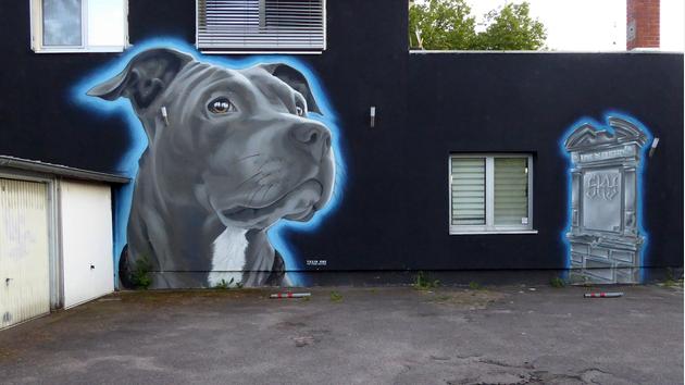 Hund